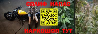 ECSTASY Кандалакша