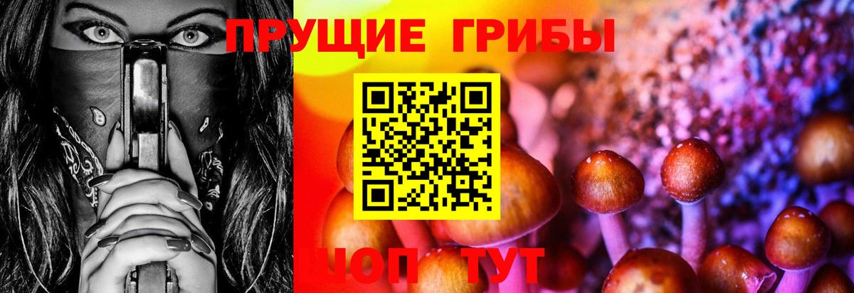 Галлюциногенные грибы MAGIC MUSHROOMS Кизилюрт